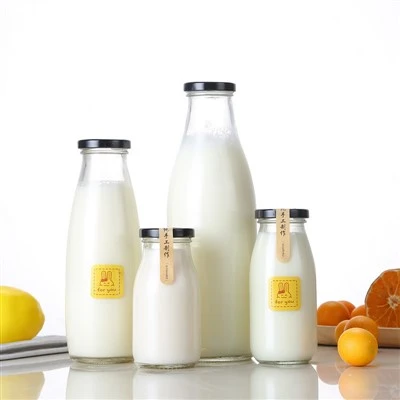 Milk Jug Water Bottle